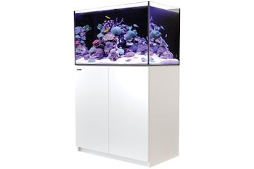 Red Sea Reefer 250 G2+ weiss