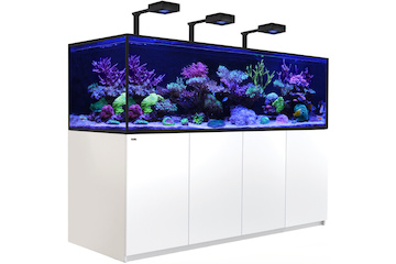 Red Sea Reefer-S 1000 G2+ Deluxe weiss