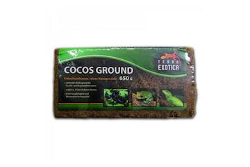 Terra Exotica Cocos Ground ca. 650 g - fein