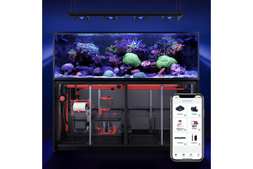 Red Sea REEFER MAX Peninsula S-950 G2+