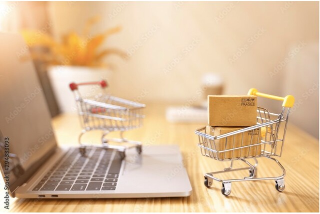 Online-Shopping Vor und Nachteile | sicher einkaufen im Internet | bezahlen | Tipps
