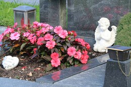 Pflegeleichte Grabbepflanzungen im Sommer: Bilder und Tipps zu Grabblumen &amp; Bodendeckern