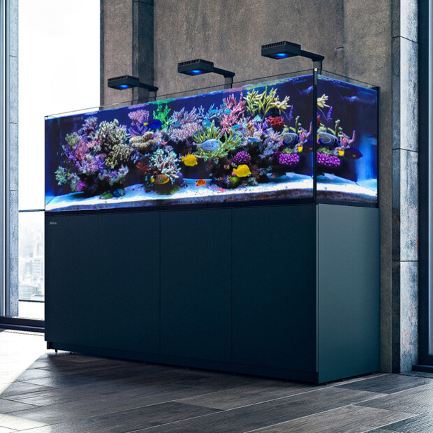 Red Sea Reefer-S 850 G2+ Deluxe schwarz