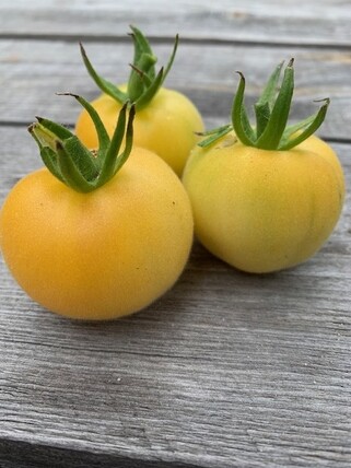 Tomate "weißer Pfirsich" - Tomatensamen (samenfest)