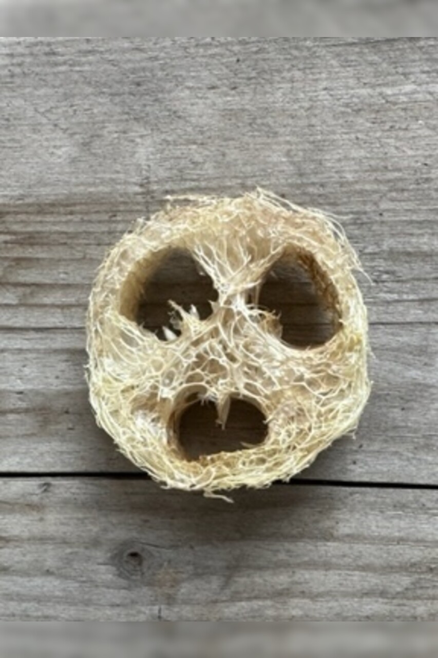 Luffa Seifenkissen (Naturschwamm)