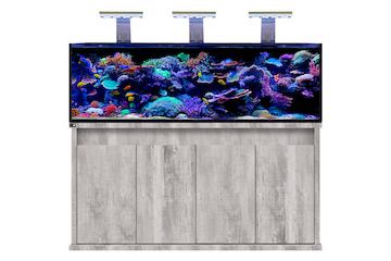 D-D Reef-Pro 1800 DRIFTWOOD CONCRETE -  Aquariumsystem