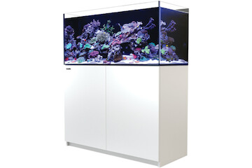 Red Sea Reefer 425 G2+ weiss