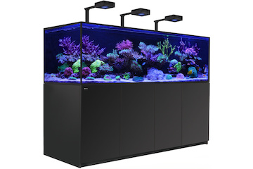 Red Sea Reefer-S 1000 G2+ Deluxe schwarz