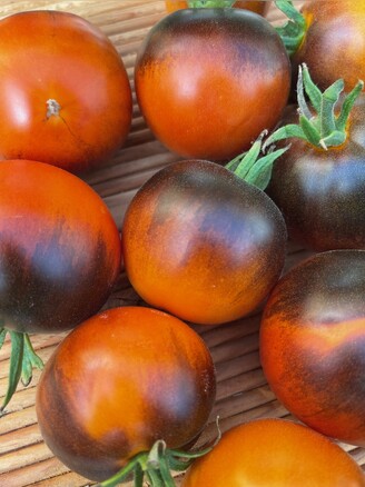 Tomate "Blaue Ananas" - BIO-Tomatensorte [samenfest]