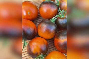 Tomate "Blaue Ananas" - BIO-Tomatensorte [samenfest]