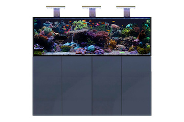 D-D Aqua-Pro Reef 1800- METAL FRAME- ANTHRACITE MATT