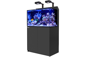 Red Sea Max E260 schwarz