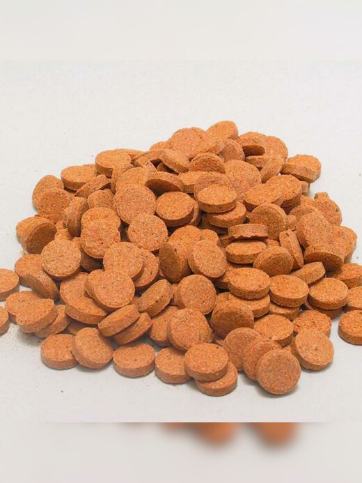 JBL Tortil Futtertabletten 60g