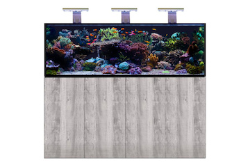 D-D Aqua-Pro Reef 1800- METAL FRAME- DRIFTWOOD CONCRETE