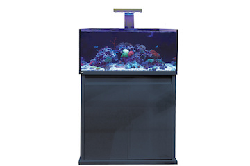 D-D Reef-Pro 900 ANTHRACITE GLOSS - Aquariumsystem