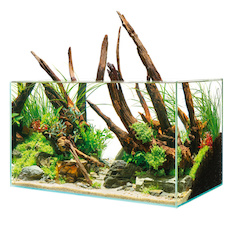 Oase ScaperLine 90 Aquarium