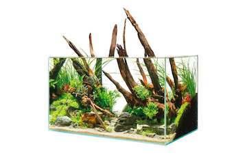 Oase ScaperLine 100 Aquarium