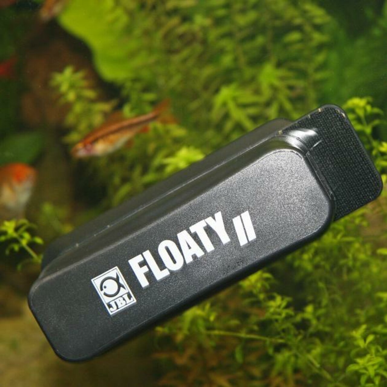 JBL Floaty II L