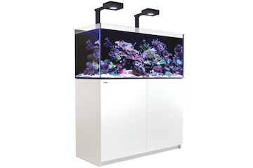 Red Sea Reefer 425 G2+ MAX weiss