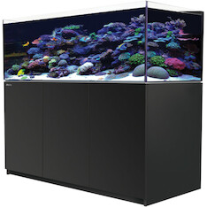 Red Sea Reefer 625 G2+ schwarz