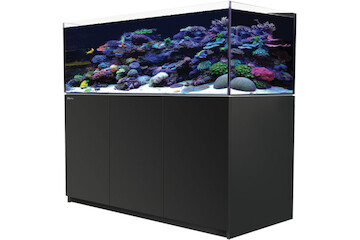 Red Sea Reefer 625 G2+ schwarz