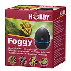 Hobby Foggy