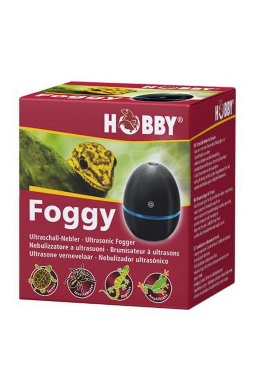 Hobby Foggy
