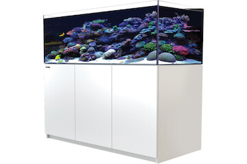 Red Sea Reefer 625 G2+ weiss