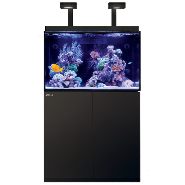 Red Sea Max E260 schwarz