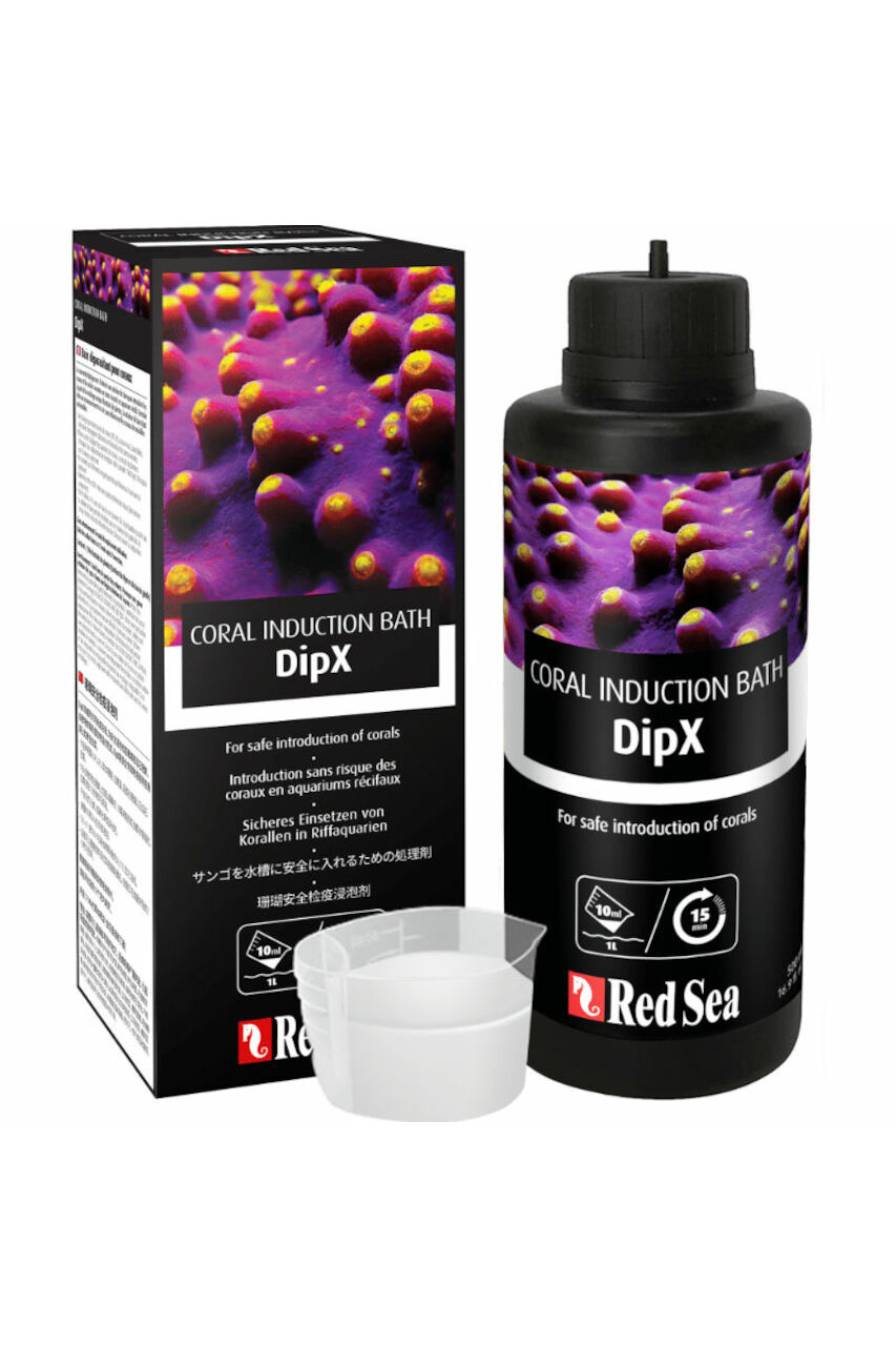 Red Sea DipX