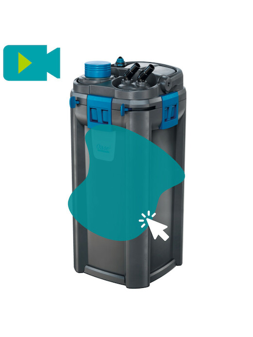 Oase BioMaster 600