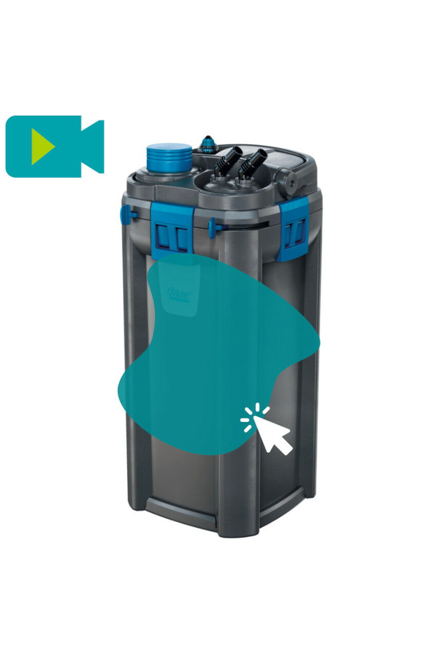 Oase BioMaster 600