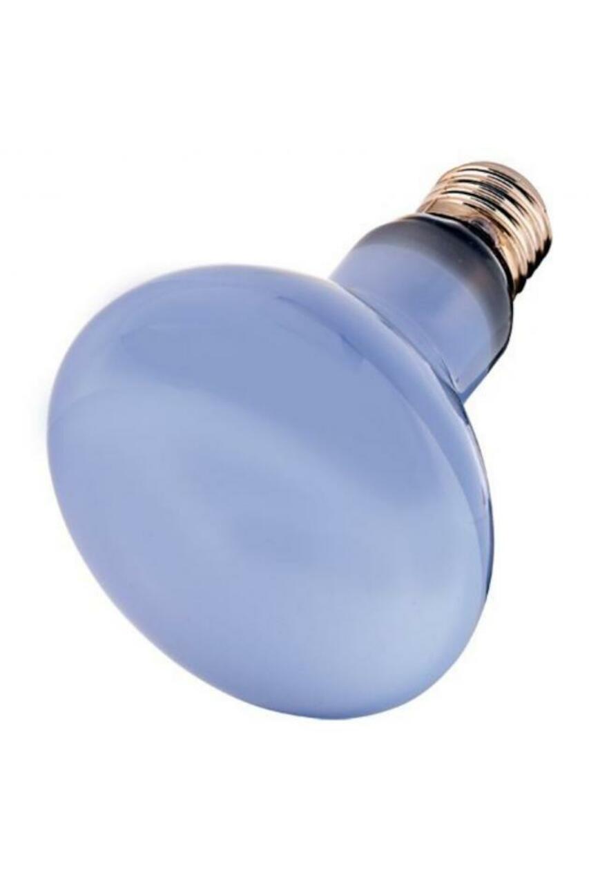 Hobby Neodymium Daylight Eco 70 W