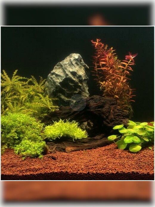 JBL Manado Naturbodengrund (10l)