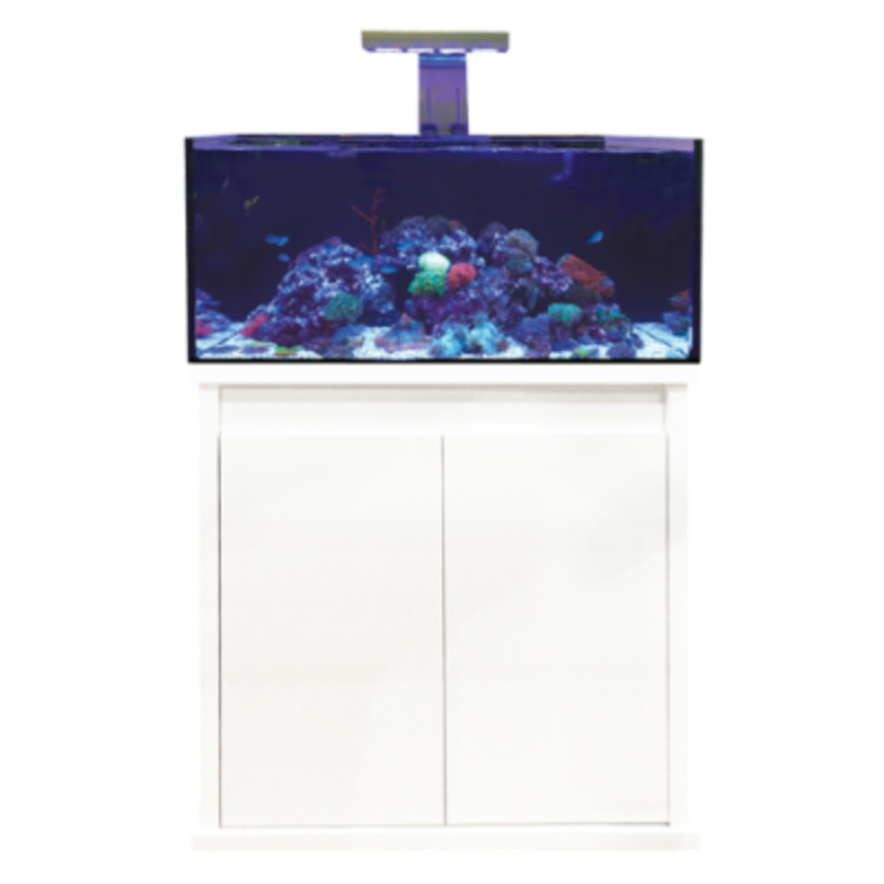 D-D Reef-Pro 900 WHITE GLOSS -  Aquariumsystem