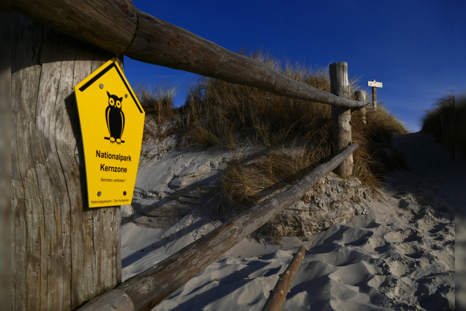 Fotokurs mit Fototour: Nationalpark Zingst