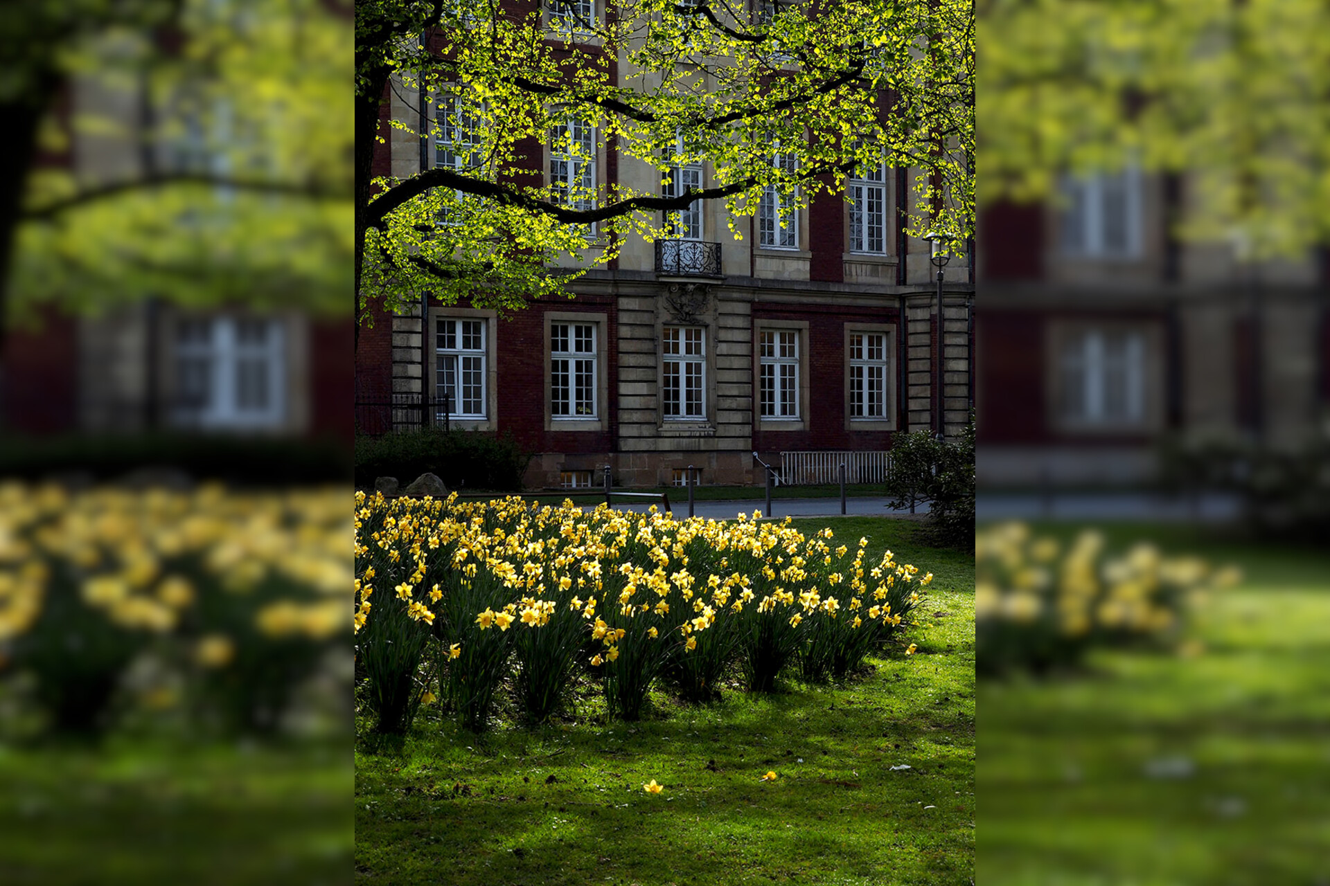 Fotokurs mit Fototour: Schloß & Botanischer Garten