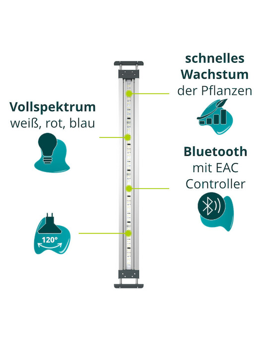 Oase HighLine Premium LED