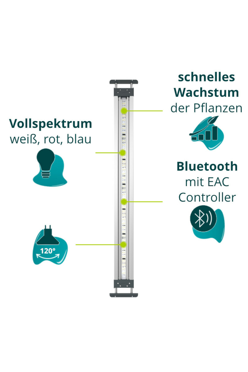 Oase HighLine Premium LED