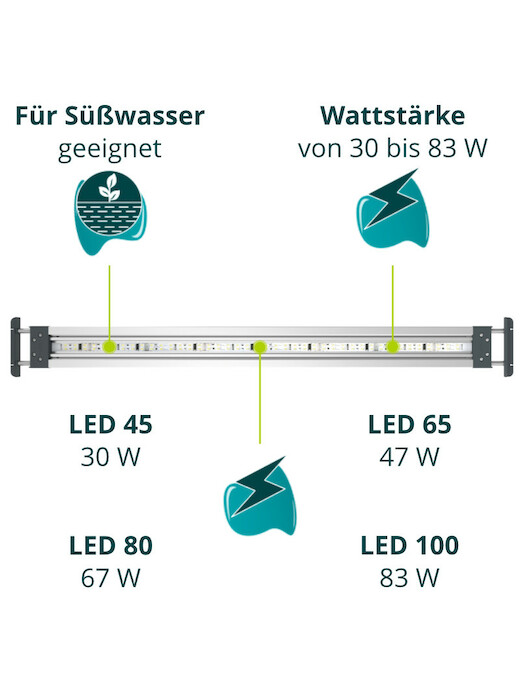 Oase HighLine Premium LED