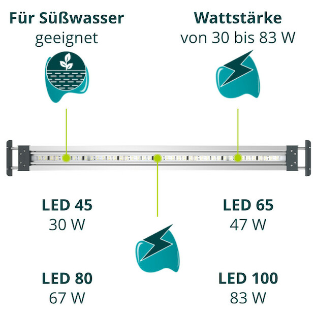 Oase HighLine Premium LED