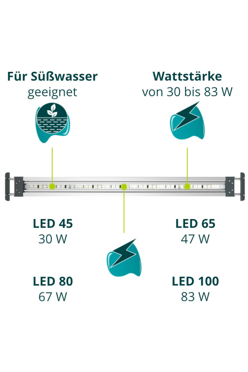 Oase HighLine Premium LED