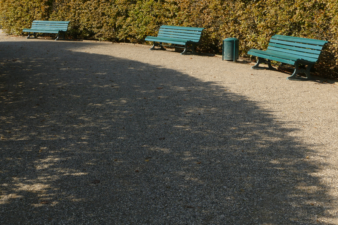 Fotokurs mit Fototour: Altstadt