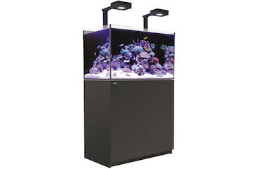 Red Sea Reefer 300 G2+ MAX schwarz