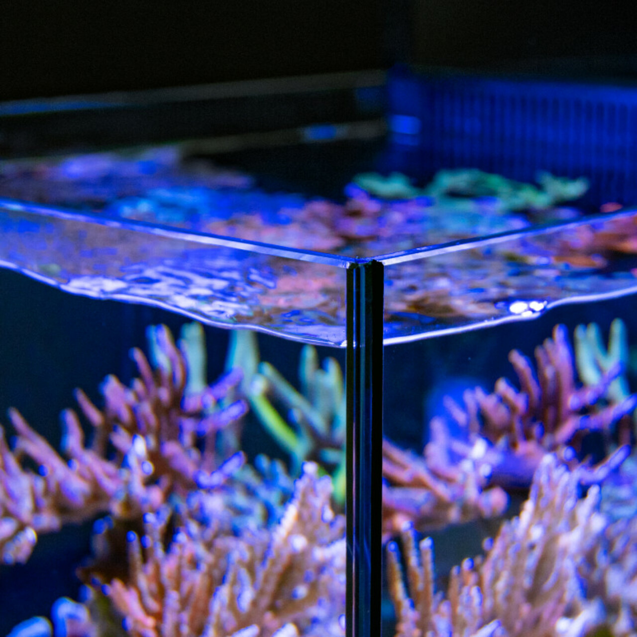 Red Sea Max Nano Peninsula Aquarium