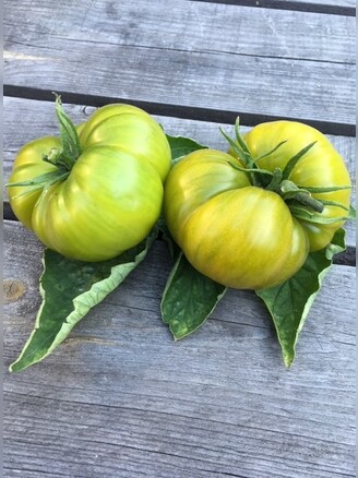 Tomate "Green Pineapple" - BIO-Tomatensorte [samenfest]