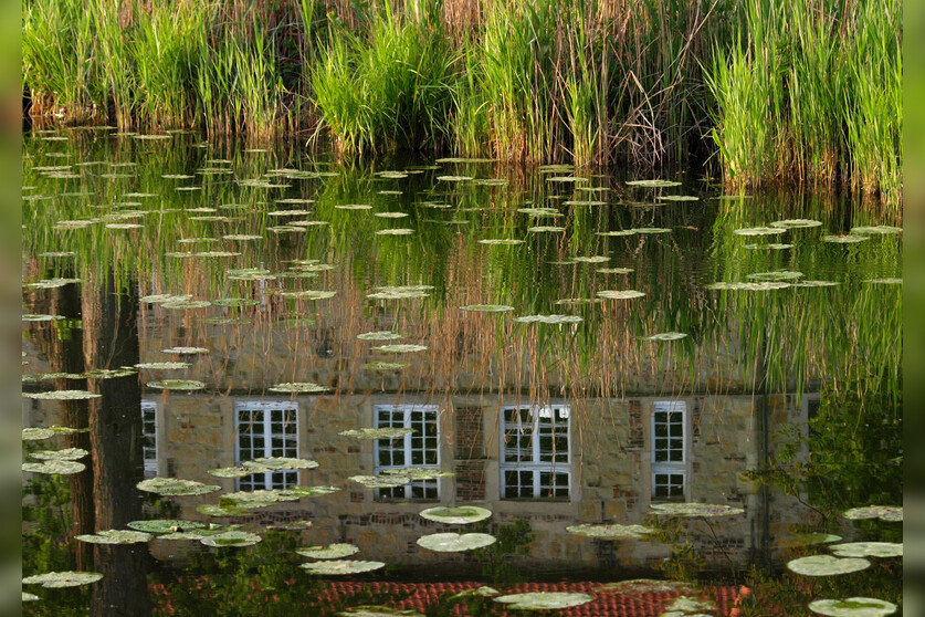 Fotokurs mit Fototour: Burg Vischering