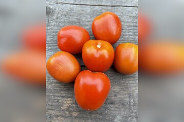 Tomate "De Berao rot" - BIO-Tomatensorte [samenfest]