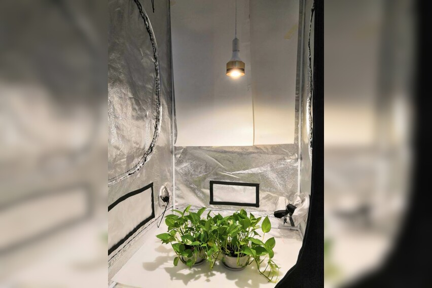 Sunny E27 50W Grow LED-Pflanzenlicht
