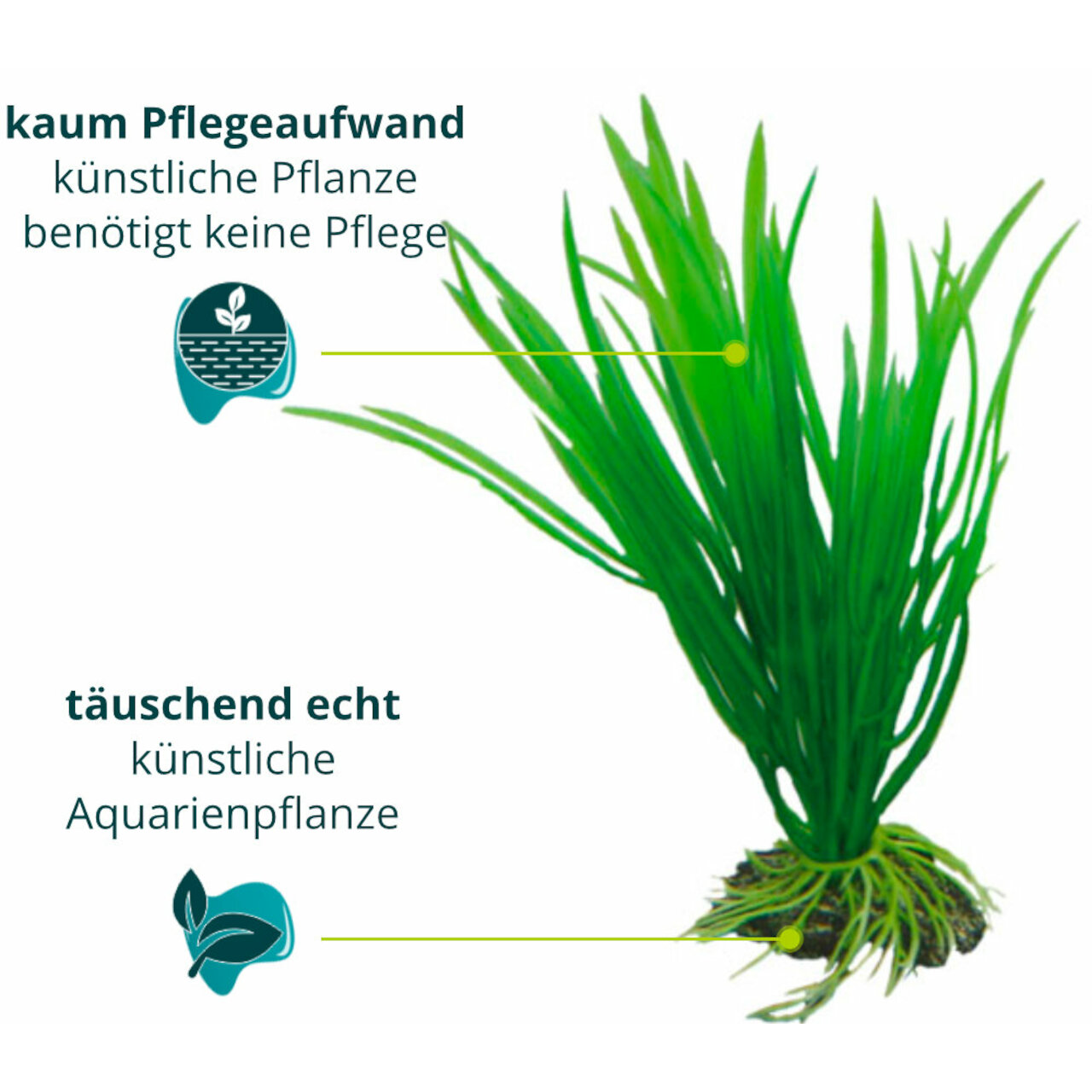 Hobby Cyperus 16 cm